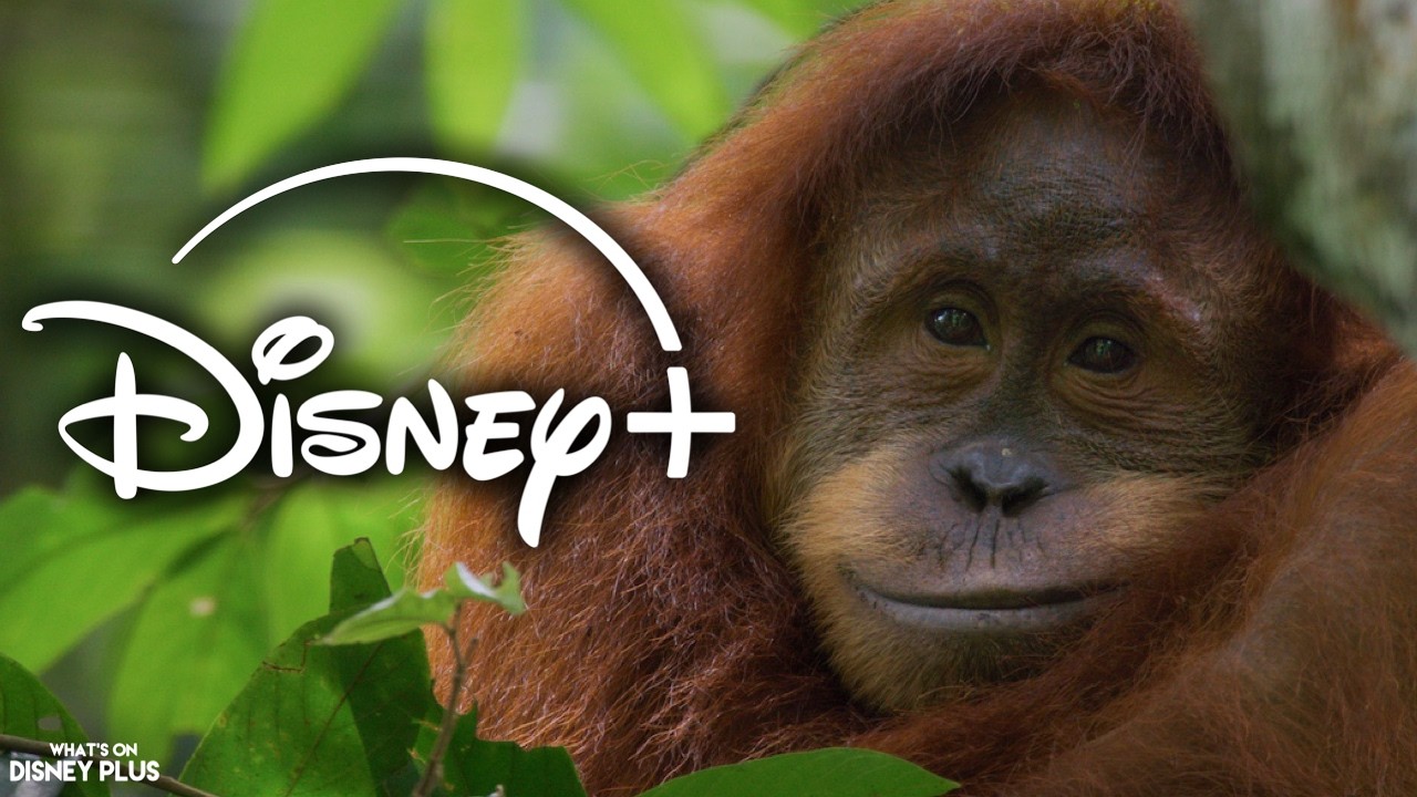 Best New Movies on Disney Plus This Week (April 2026)